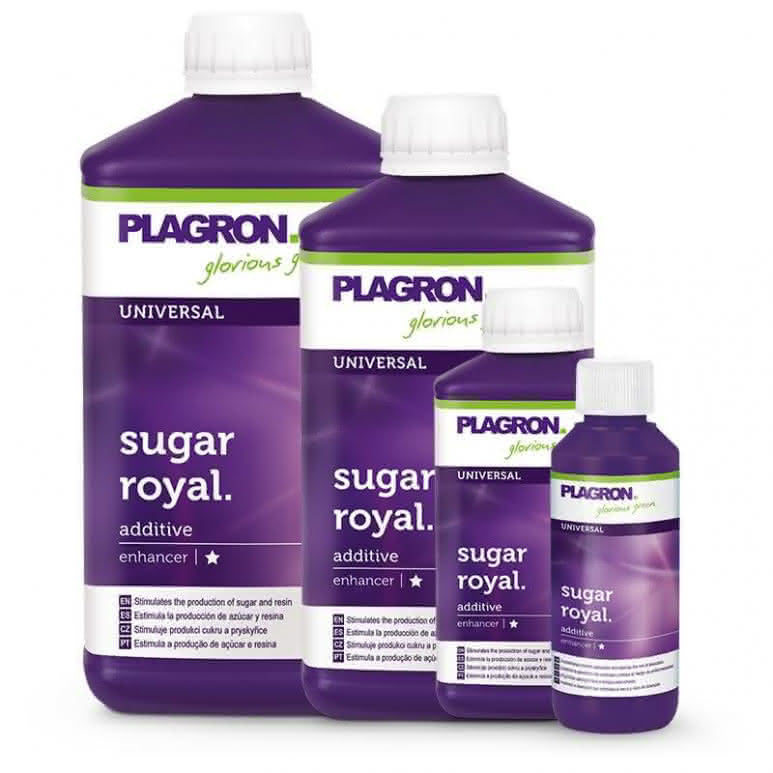 Plagron Zucchero Reale